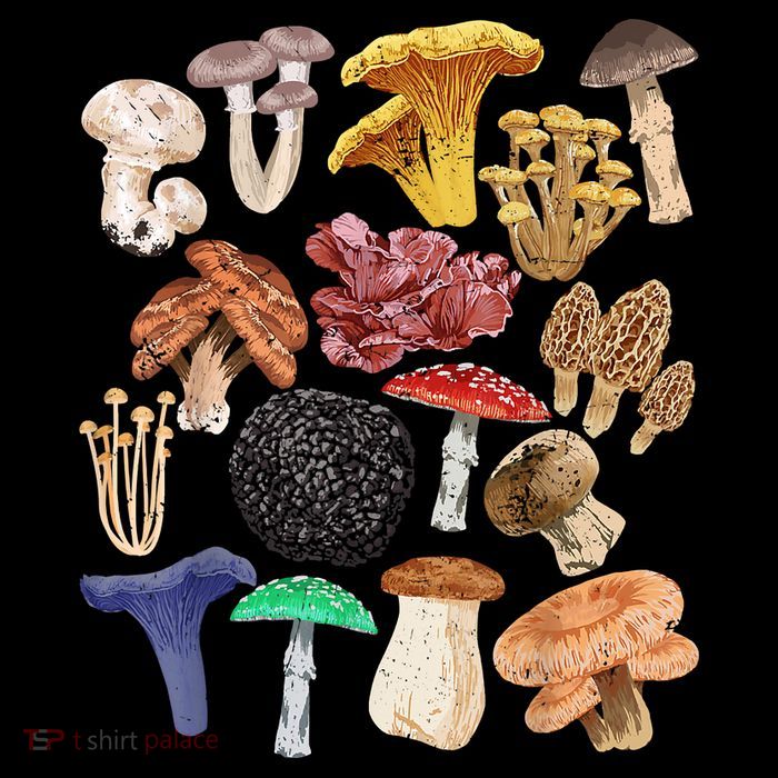 Mushroom Classification Types Mycology For Shroom Hunter Crop Top