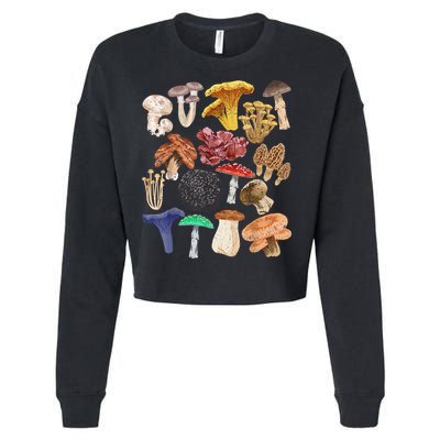 Mushroom Classification Types Mycology For Shroom Hunter Cropped Pullover Crew