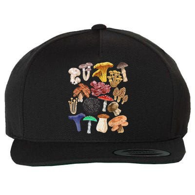 Mushroom Classification Types Mycology For Shroom Hunter Wool Snapback Cap