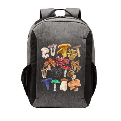 Mushroom Classification Types Mycology For Shroom Hunter Vector Backpack