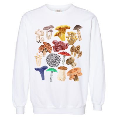 Mushroom Classification Types Mycology For Shroom Hunter Garment-Dyed Sweatshirt