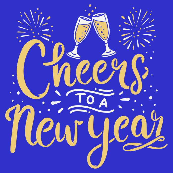 M156 Cheer To A New Year Funny Happy New Year Wine Party Gift 16 in Basic Backpack