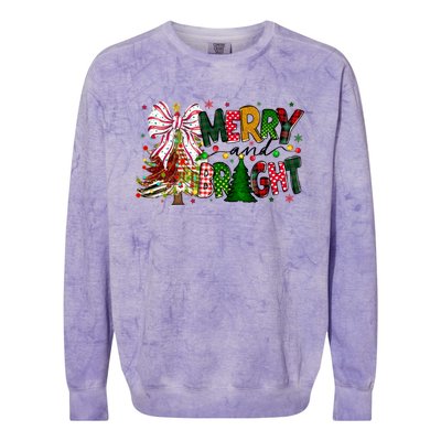 Merry Christmas Tree Xmas Lights Family Holiday Colorblast Crewneck Sweatshirt