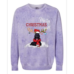 Merry Christmas YAll Scottish Terrier Christmas Ornaments Colorblast Crewneck Sweatshirt