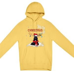 Merry Christmas YAll Scottish Terrier Christmas Ornaments Premium Pullover Hoodie