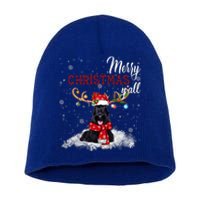 Merry Christmas YAll Scottish Terrier Christmas Ornaments Short Acrylic Beanie