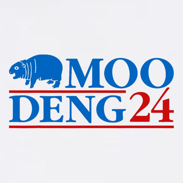 Moo Deng 24 Funny Hippo Moo Deng Zoo Hippopotamus Animal Poster