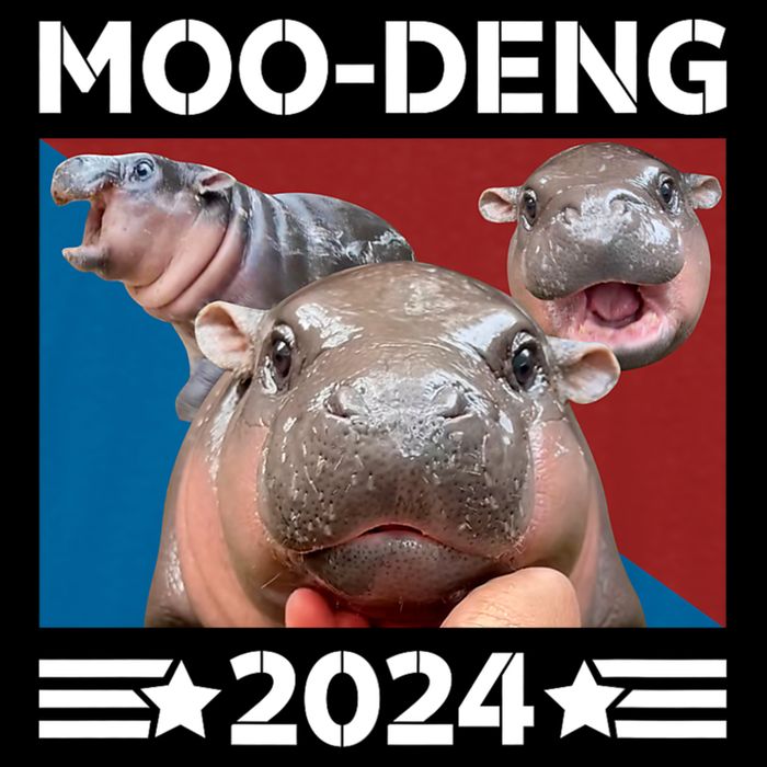Moo Deng 2024 For President Impact Tech Backpack