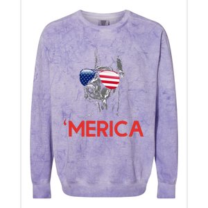 Merica Doberman American Flag 4th of July Dobie Colorblast Crewneck Sweatshirt