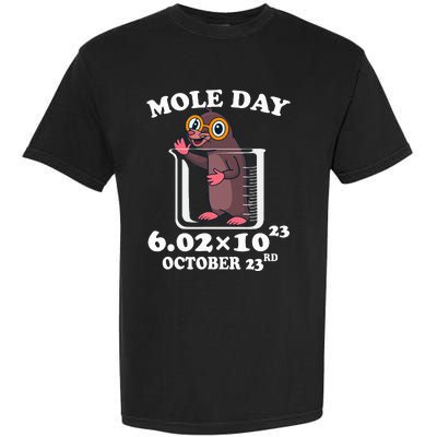 Mole Day AvogadroS Number October 23rd Science Lovers Garment-Dyed Heavyweight T-Shirt