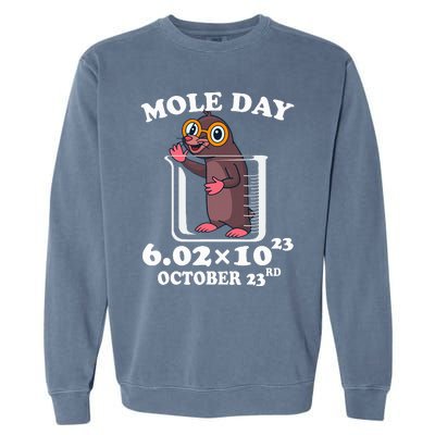 Mole Day AvogadroS Number October 23rd Science Lovers Garment-Dyed Sweatshirt