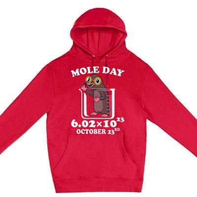 Mole Day AvogadroS Number October 23rd Science Lovers Premium Pullover Hoodie