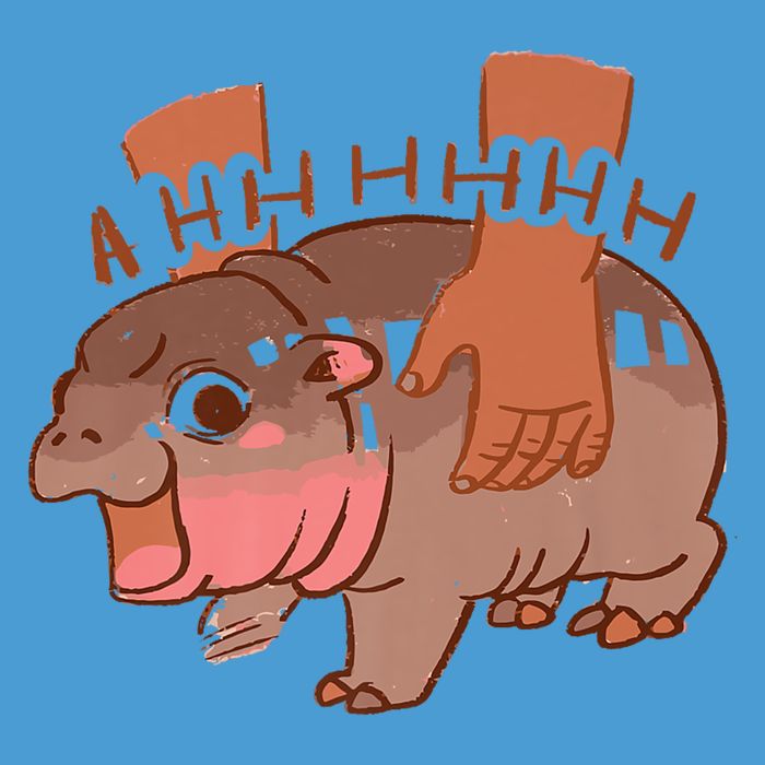 Moo Deng A Hh Hhhh Hippo Funny Tie Dye Hoodie