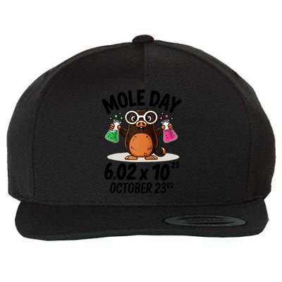 Mole Day Avogadros Number October 23rd Raglan Baseball Gift Wool Snapback Cap