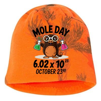 Mole Day Avogadros Number October 23rd Raglan Baseball Gift Kati - Camo Knit Beanie