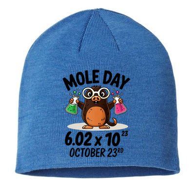 Mole Day Avogadros Number October 23rd Raglan Baseball Gift Sustainable Beanie