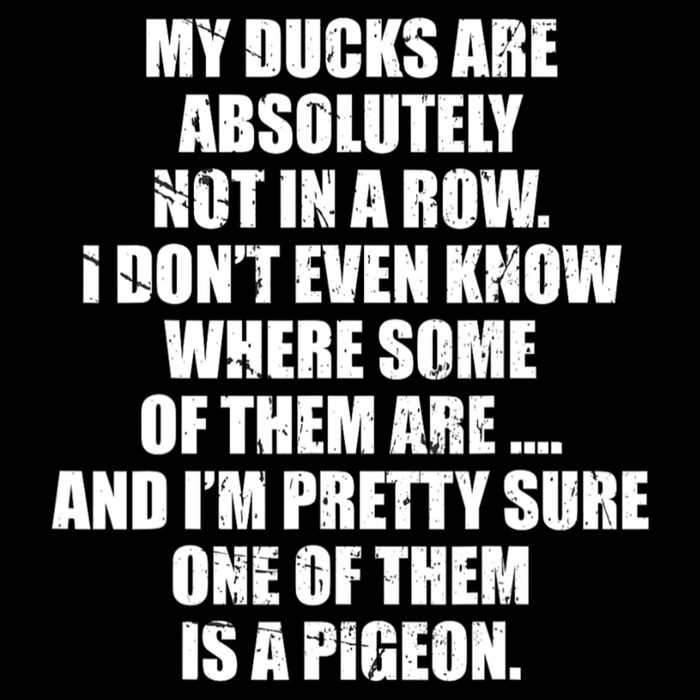 My Ducks Are Absolutely Not In A Row Pigeon Backpack