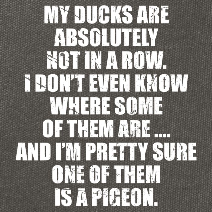 My Ducks Are Absolutely Not In A Row Pigeon Cotton Canvas Backpack