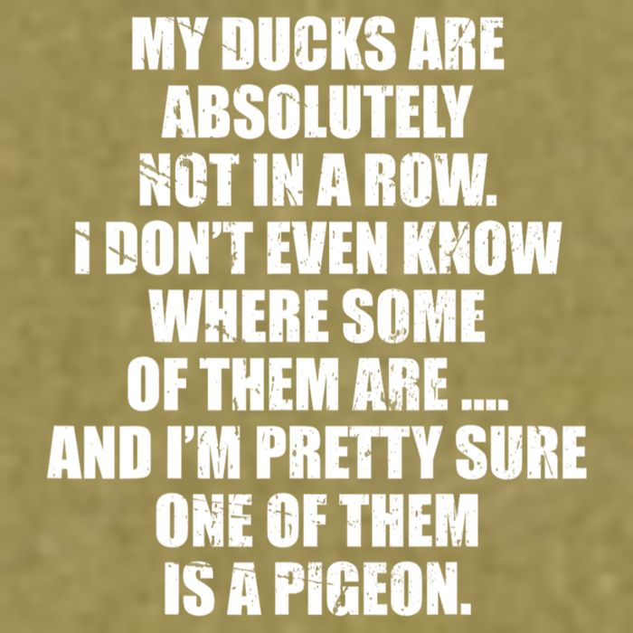 My Ducks Are Absolutely Not In A Row Pigeon Garment-Dyed Women's Muscle Tee