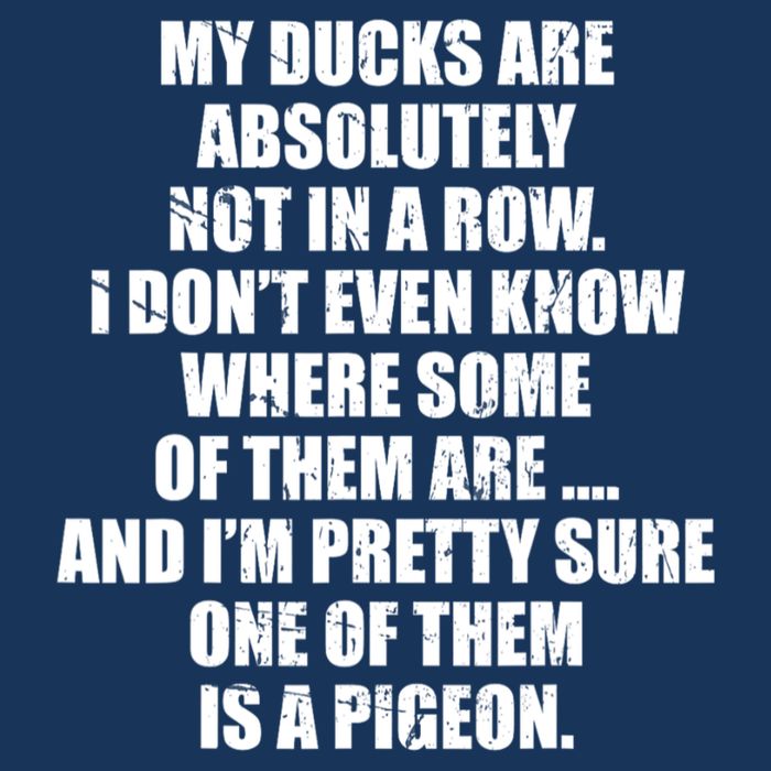 My Ducks Are Absolutely Not In A Row Pigeon Infant Baby Jersey Bodysuit