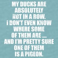 My Ducks Are Absolutely Not In A Row Pigeon Sueded Cloud Jersey T-Shirt