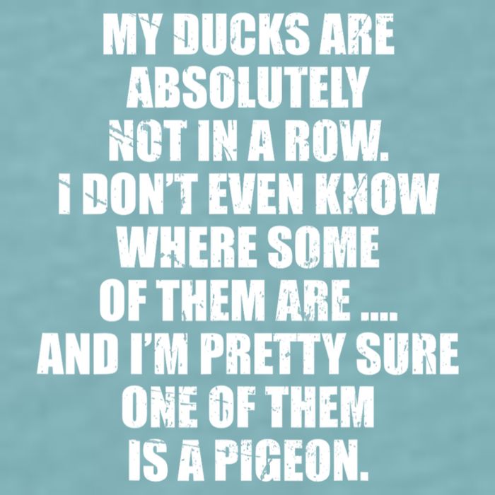 My Ducks Are Absolutely Not In A Row Pigeon Sueded Cloud Jersey T-Shirt
