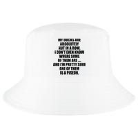 My Ducks Are Absolutely Not In A Row Pigeon Cool Comfort Performance Bucket Hat