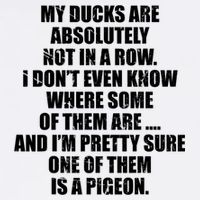 My Ducks Are Absolutely Not In A Row Pigeon Visor