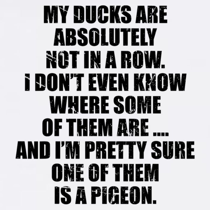 My Ducks Are Absolutely Not In A Row Pigeon Visor