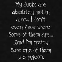 My Ducks Are Absolutely Not In A Row Pigeon Ladies PosiCharge Tri-Blend Wicking Tank