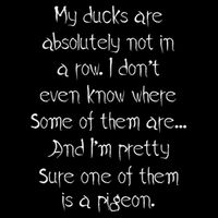 My Ducks Are Absolutely Not In A Row Pigeon Backpack