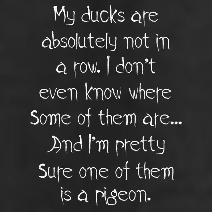 My Ducks Are Absolutely Not In A Row Pigeon Crop Fleece Hoodie