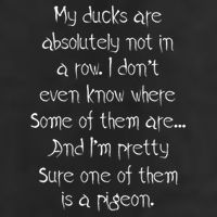 My Ducks Are Absolutely Not In A Row Pigeon Tumbler