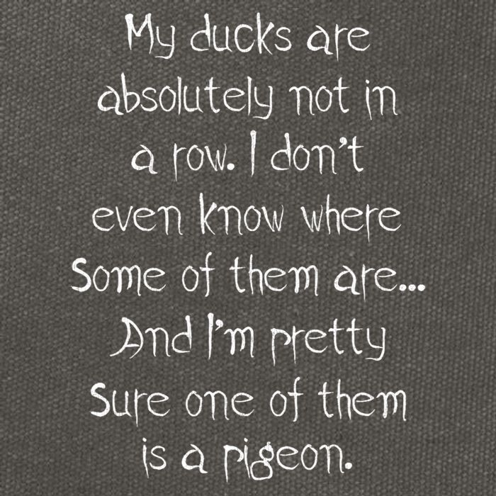My Ducks Are Absolutely Not In A Row Pigeon Cotton Canvas Backpack