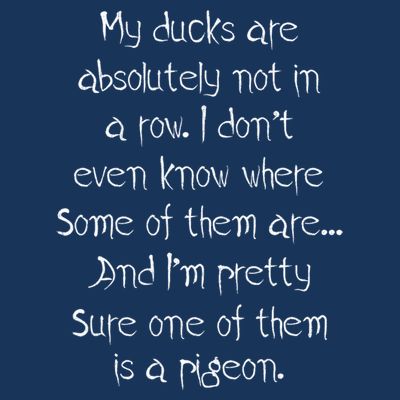My Ducks Are Absolutely Not In A Row Pigeon T-Shirt