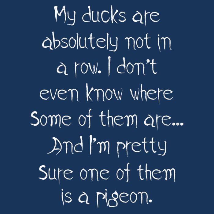 My Ducks Are Absolutely Not In A Row Pigeon Visor