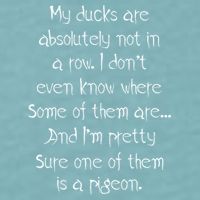 My Ducks Are Absolutely Not In A Row Pigeon Sueded Cloud Jersey T-Shirt