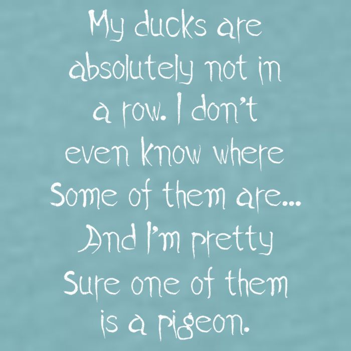My Ducks Are Absolutely Not In A Row Pigeon Sueded Cloud Jersey T-Shirt