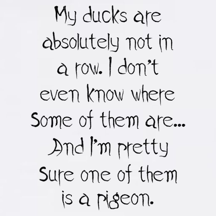 My Ducks Are Absolutely Not In A Row Pigeon Garment-Dyed Sweatshirt
