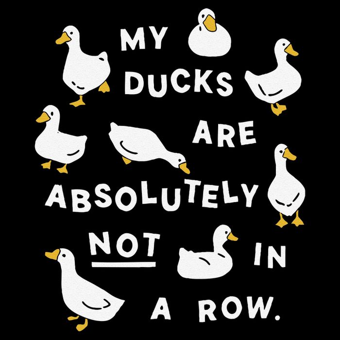My Ducks Are Absolutely Not In A Row Funny Design Wool Snapback Cap
