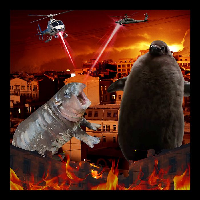 Moo Deng And Pesto Battle 16 in Basic Backpack
