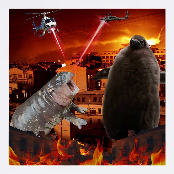 Moo Deng And Pesto Battle Visor
