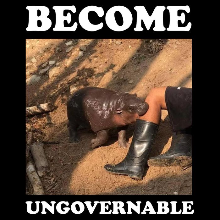 Moo Deng Become Ungovernable Toddler T-Shirt