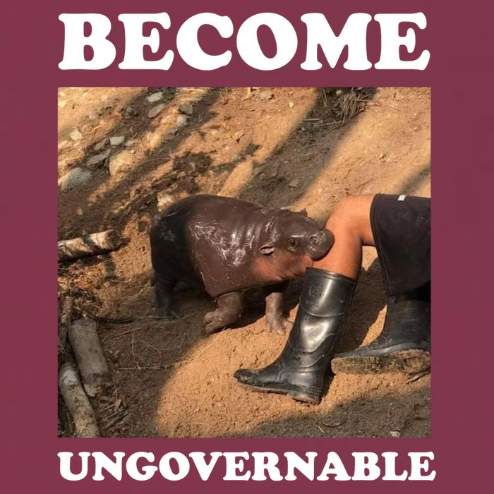 Moo Deng Become Ungovernable 16oz Travel Tumbler