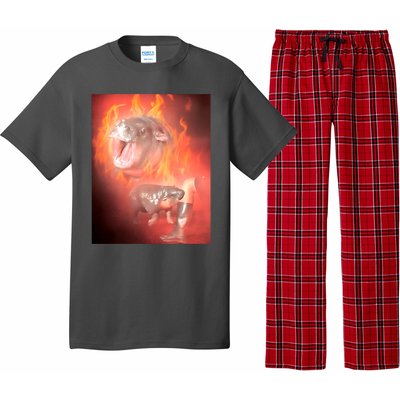 Moo Deng Bouncy Pig In Thai Fire Picture The Cute Baby Hippo Pajama Set