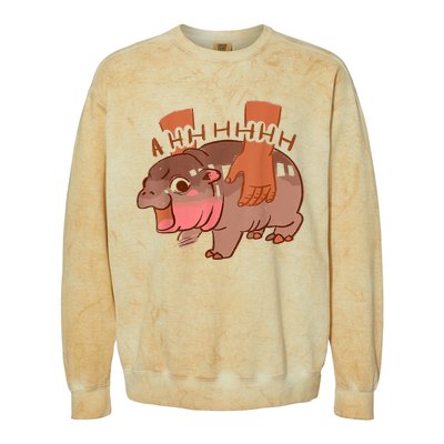 Moo Deng Bouncy Pig In Thai Colorblast Crewneck Sweatshirt