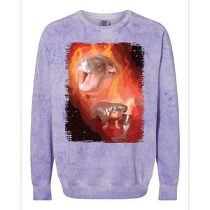 Moo Deng Bouncy Pig In Thai Fire Picture The Cute Baby Hippo Colorblast Crewneck Sweatshirt