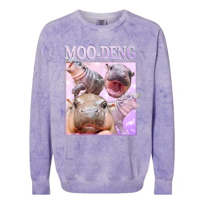 Moo Deng Baby Hippo Colorblast Crewneck Sweatshirt