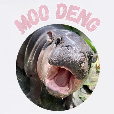 Moo Deng Bouncy Pig In Thai Picture The Cute Baby Hippo Gift T-Shirt