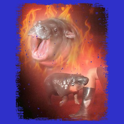 Moo Deng Bouncy Pig In Thai Fire Picture The Cute Baby Hippo T-Shirt